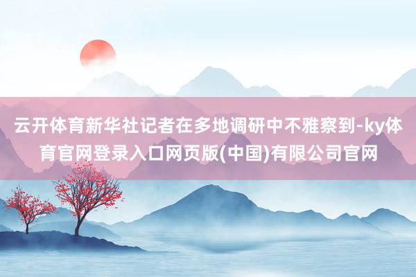 云开体育新华社记者在多地调研中不雅察到-ky体育官网登录入口网页版(中国)有限公司官网