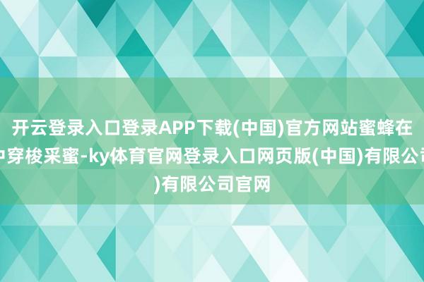 开云登录入口登录APP下载(中国)官方网站蜜蜂在花丛中穿梭采蜜-ky体育官网登录入口网页版(中国)有限公司官网